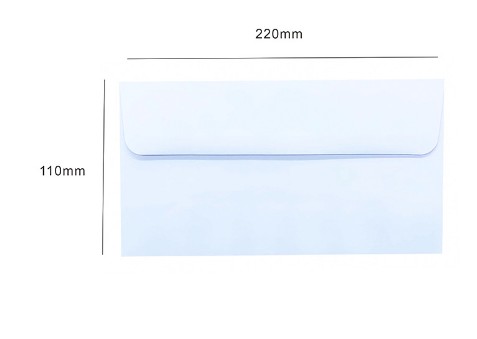 01B 100g Envelope 110X220MM 50PCS/BAG 500PCS/BOX  4000PCS/CTN